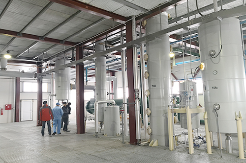 年關(guān)將至，鄭州企鵝喜迎埃塞俄比亞客戶(hù)！