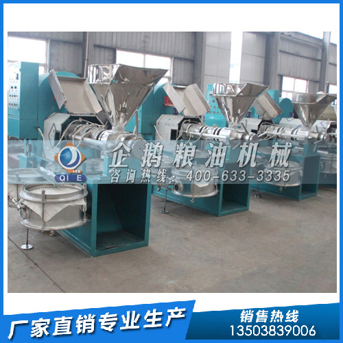 食用油生產(chǎn)加工設備，企鵝糧油機械為客戶(hù)提供周到服務(wù)